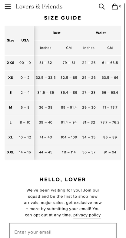 Lovers+Friends Morella Embroidered Rose and Swiss Dot Mesh Dress
